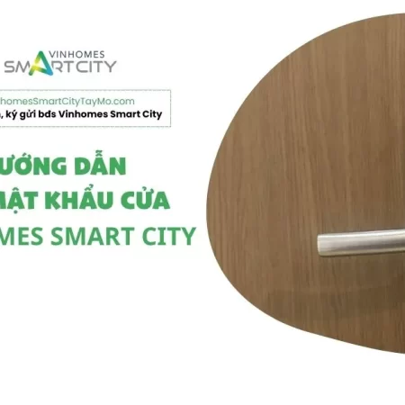 Hướng dẫn đổi mật khẩu cửa Vinhomes Smart City tại nhà T4/2026